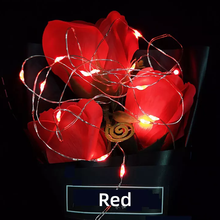 Load image into Gallery viewer, Seed Lights 2m 5pack