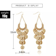 Load image into Gallery viewer, Hollow Coin Earrings