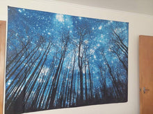 Load image into Gallery viewer, Blue Forest